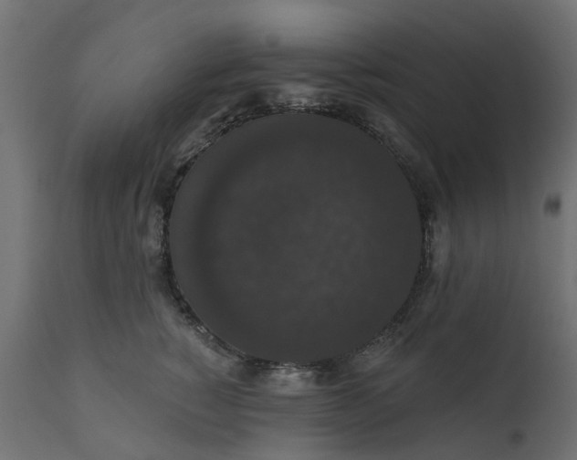 X0000110700760200906261407