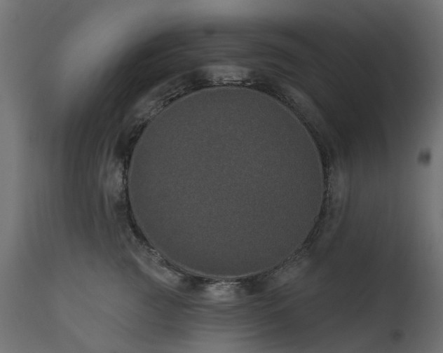 X0000110700761200906261407