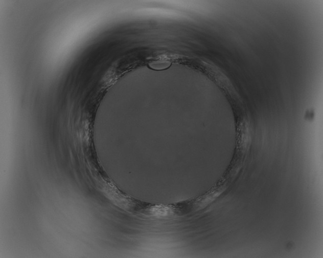 X0000110700762200906261407