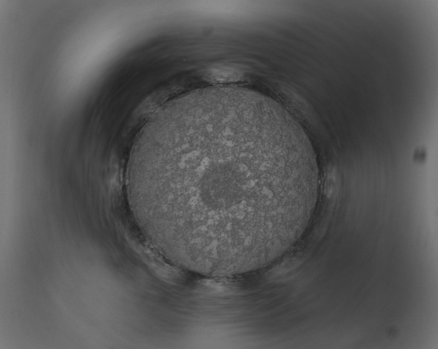 X0000110700763200906261407