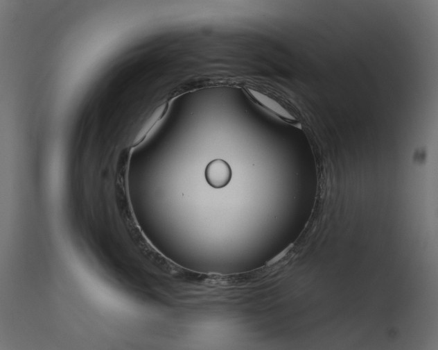 X0000110700764200906261407