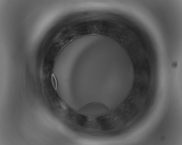 X0000110700766200906261408