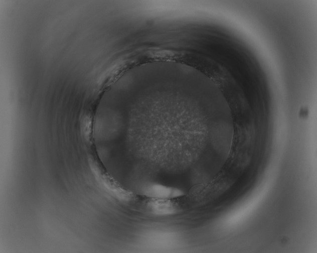 X0000110700767200906261408