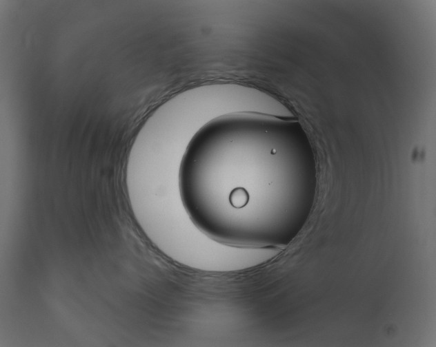 X0000110700768200906261408