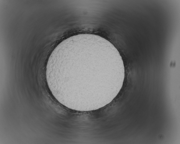 X0000110700769200906261407