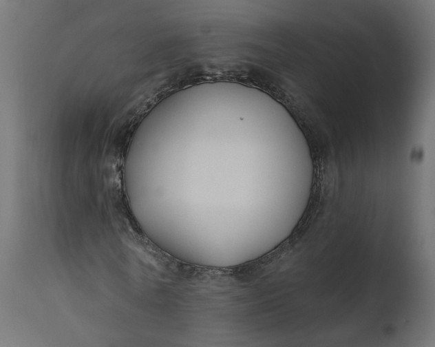 X0000110700770200906261407