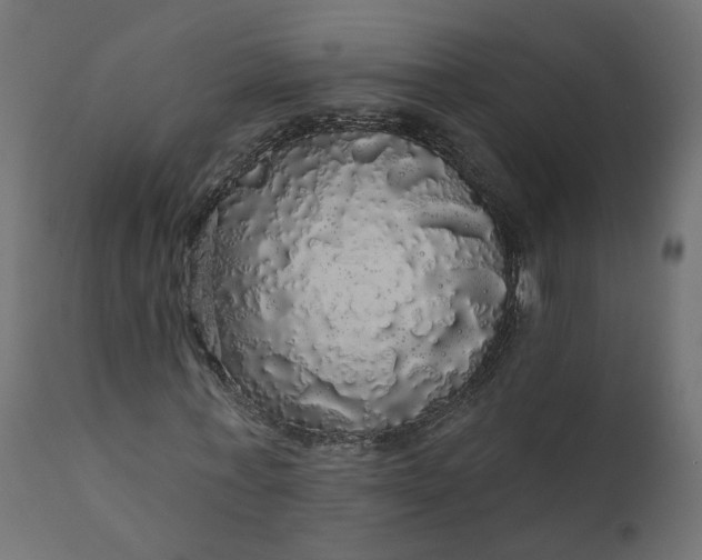 X0000110700771200906261407