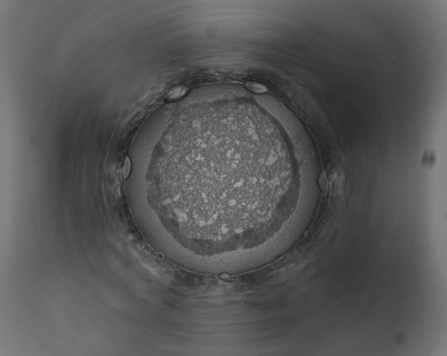 X0000110700772200906261407