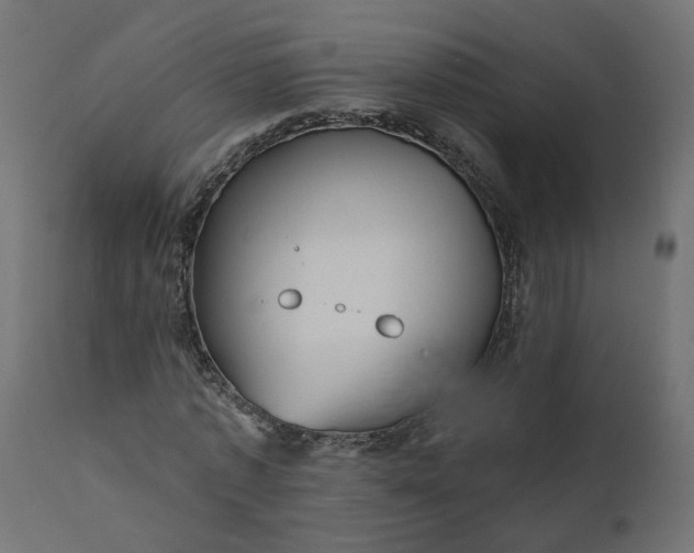 X0000110700773200906261407