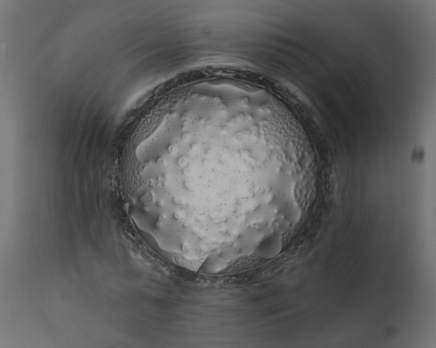 X0000110700775200906261407