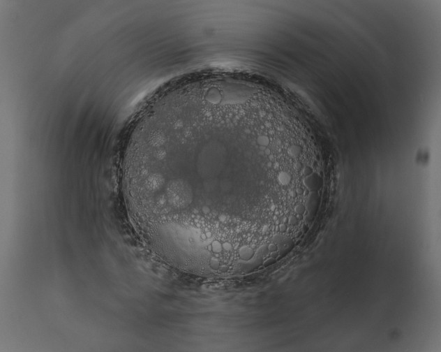 X0000110700776200906261407