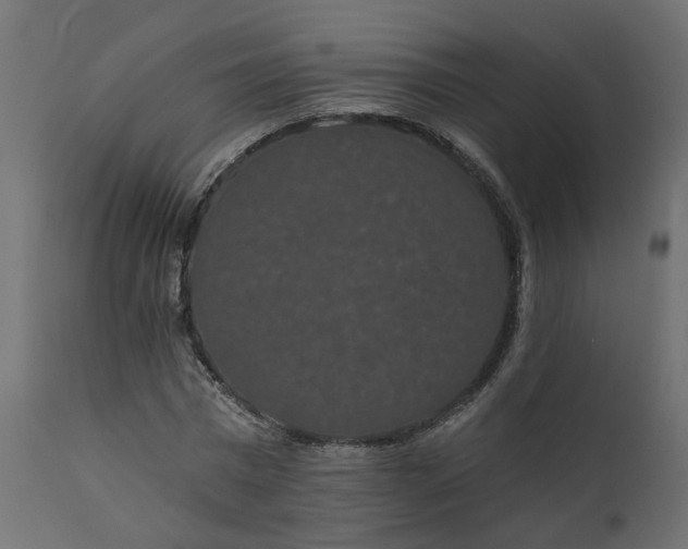 X0000110700777200906261407