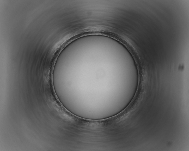 X0000110700778200906261406