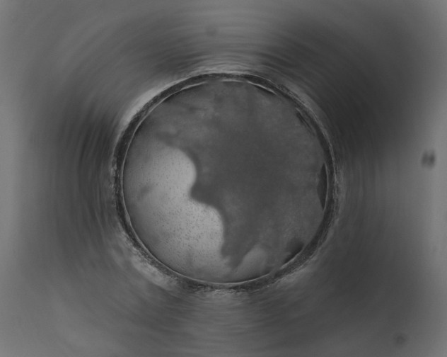 X0000110700779200906261406