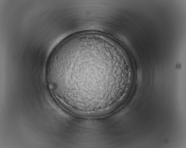 X0000110700780200906261406