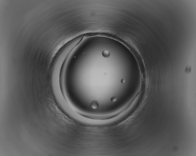 X0000110700781200906261406