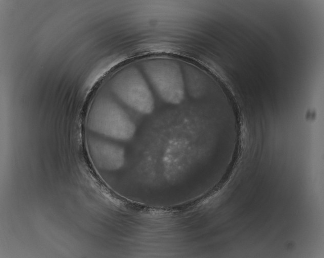 X0000110700782200906261406