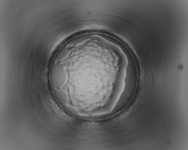 X0000110700783200906261406