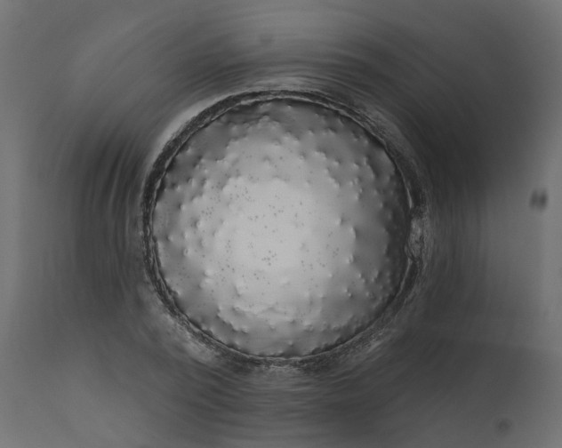 X0000110700784200906261406