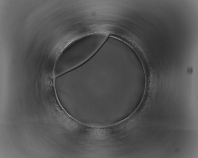 X0000110700785200906261406