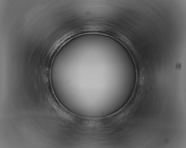 X0000110700786200906261406