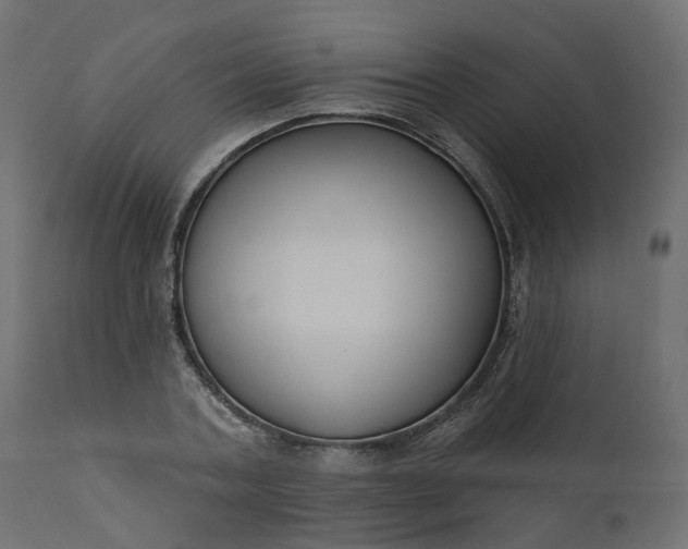 X0000110700787200906261406