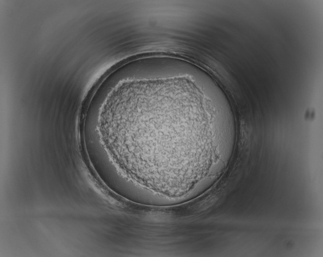 X0000110700788200906261406