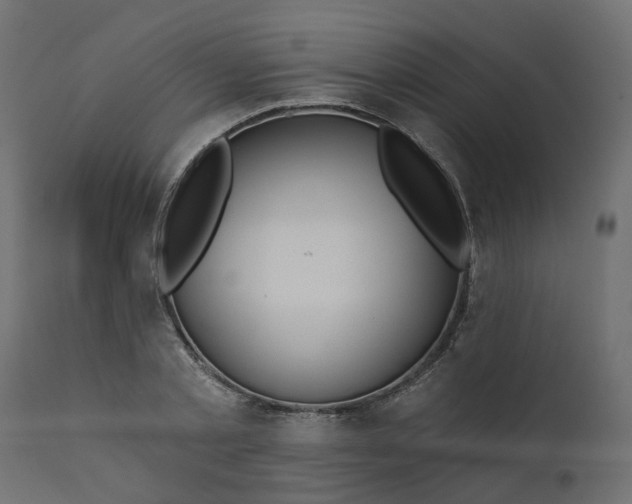 X0000110700789200906261406