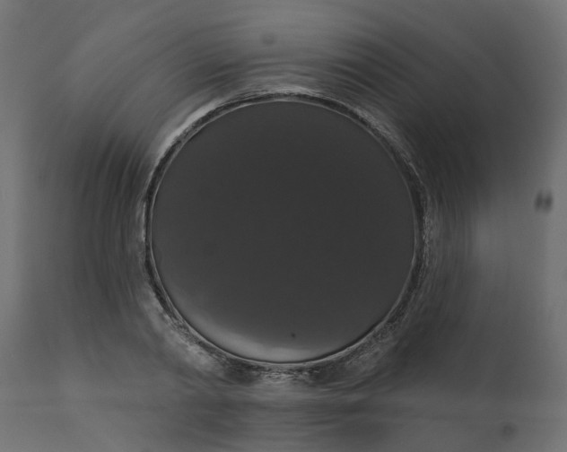 X0000110700790200906261406