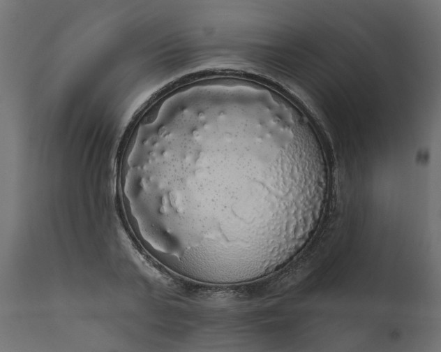 X0000110700791200906261406