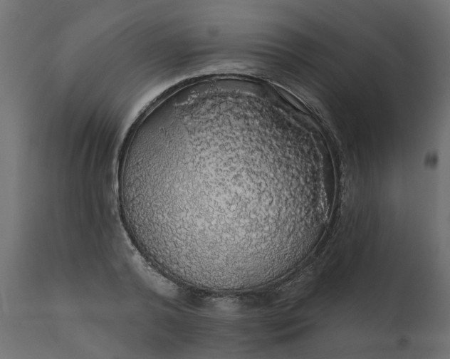 X0000110700792200906261406