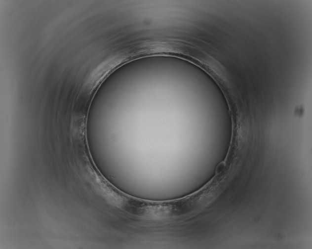 X0000110700793200906261406