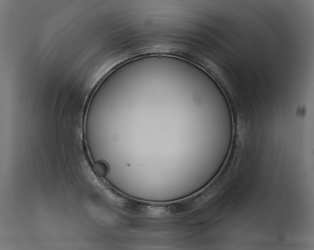 X0000110700794200906261406