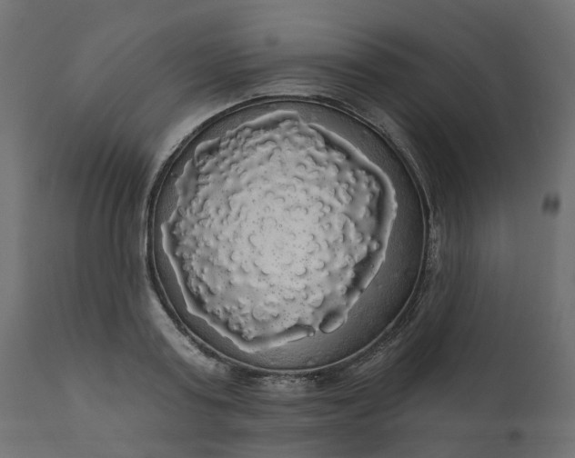 X0000110700795200906261406