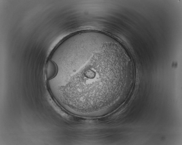 X0000110700796200906261406