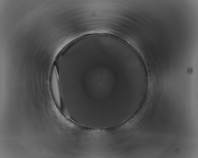 X0000110700797200906261406