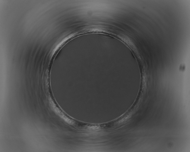 X0000110700798200906261406