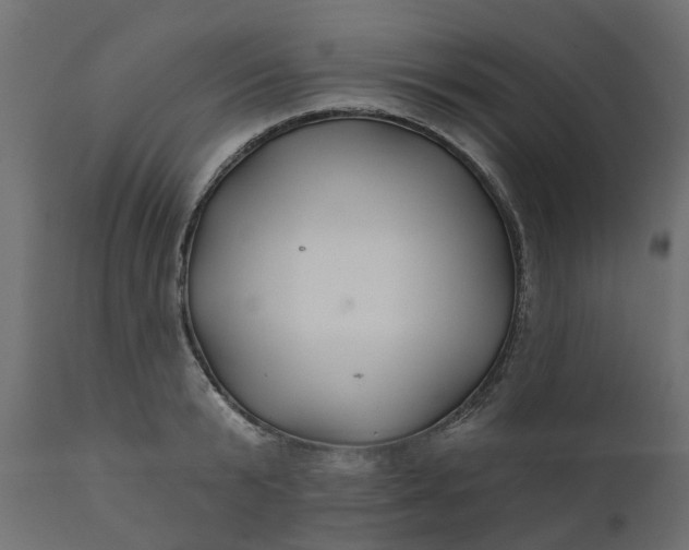 X0000110700799200906261406