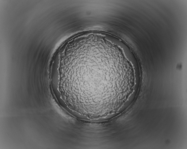 X0000110700800200906261406