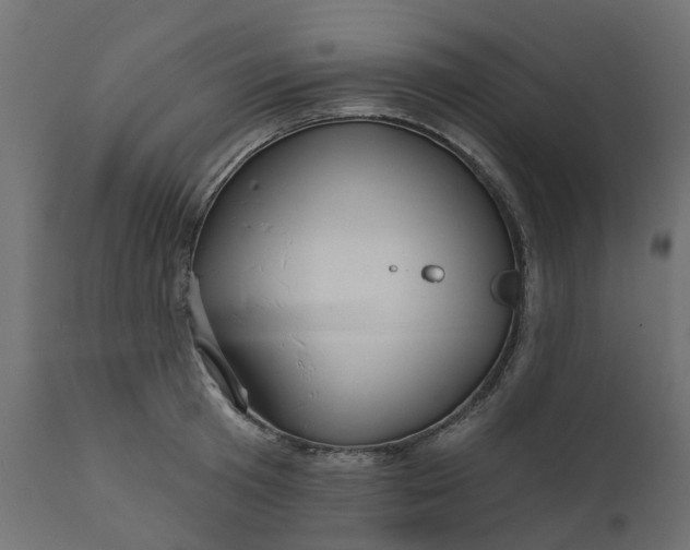 X0000110700801200906261406