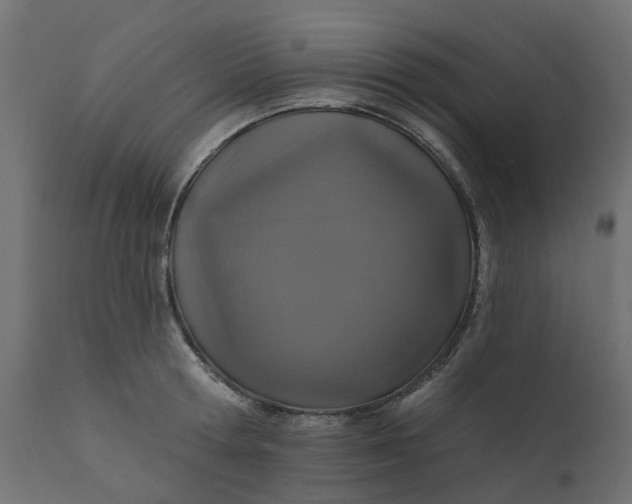 X0000110700802200906261406