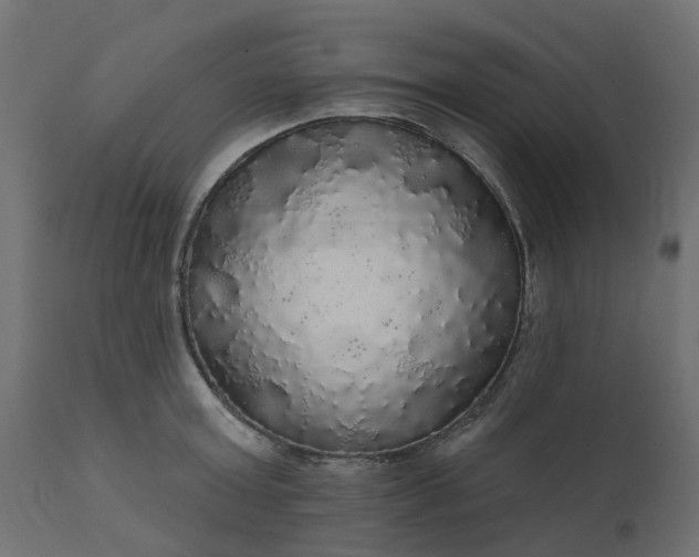 X0000110700803200906261406