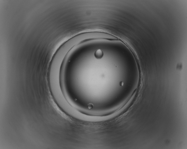 X0000110700805200906261406