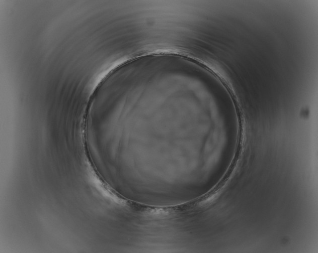 X0000110700806200906261406