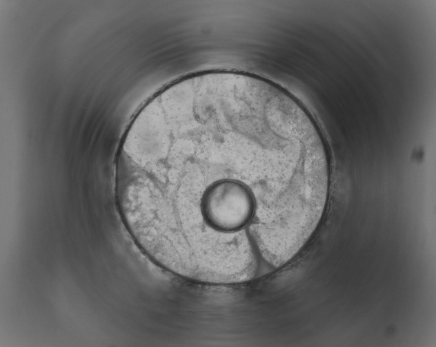 X0000110700807200906261406