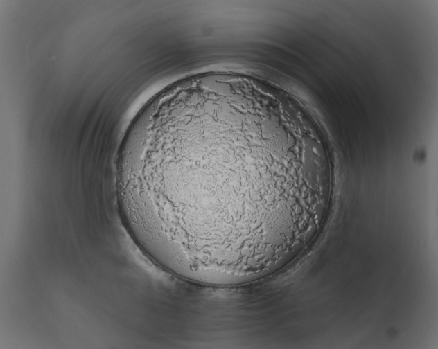 X0000110700808200906261406