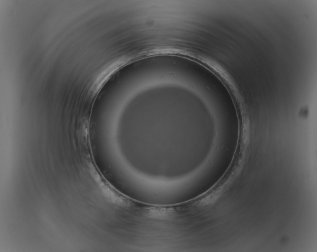 X0000110700809200906261406