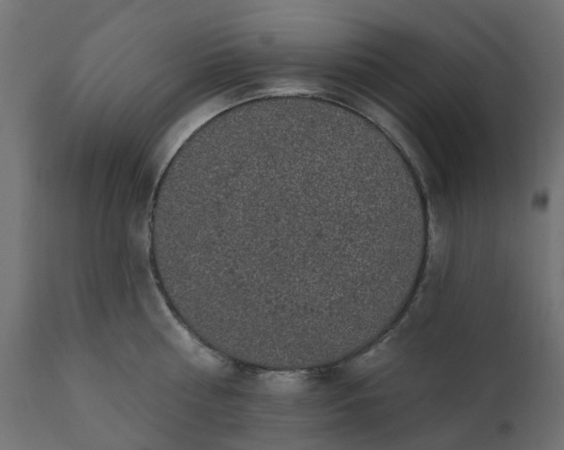 X0000110700810200906261406