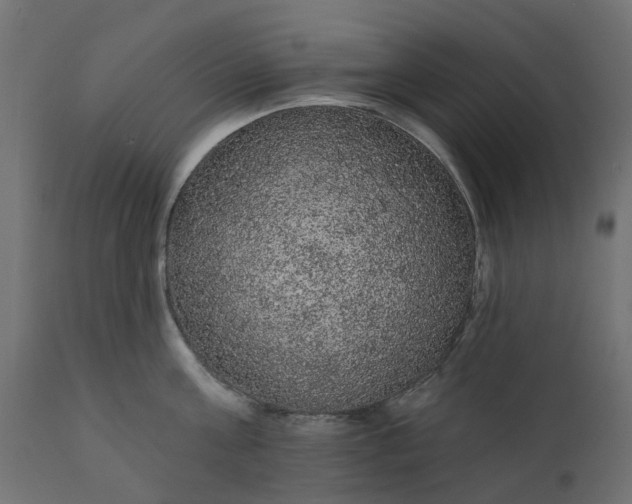 X0000110700811200906261406