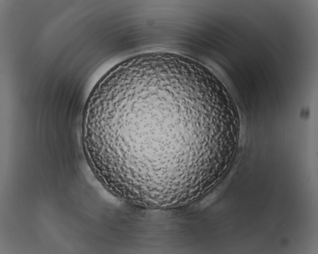 X0000110700812200906261406